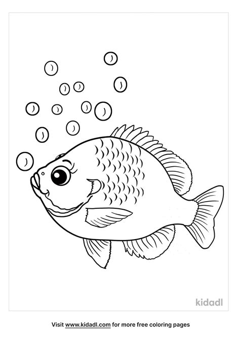 Free Bluegill Coloring Page Coloring Page Printables Kidadl