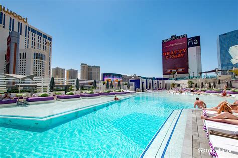 The Cosmopolitan Of Las Vegas Autograph Collection Pool Pictures