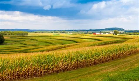 Top 9 Biggest Farms In The United States Sand Creek Farm 2022