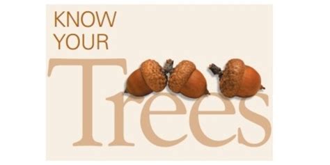 Cornell Cooperative Extension Know Your Trees Part 2