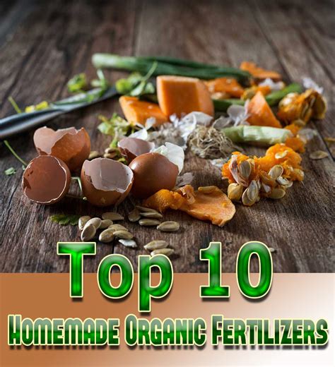 Top 10 Homemade Organic Fertilizers