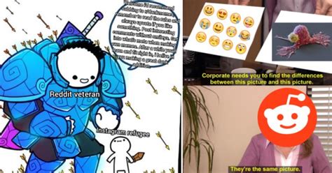 You can find out best memes content over here. 16+ Reddit Memes Subreddits - Factory Memes
