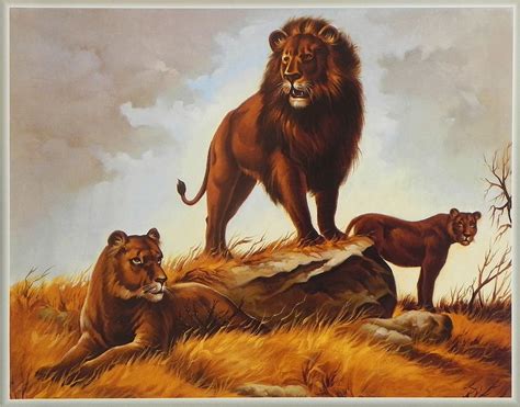 Buy King Of The Jungle Poster
