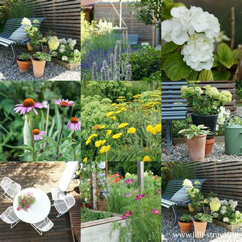 Der garten wird langsamen aber sicher aufwachen. Mein Garten im Juli