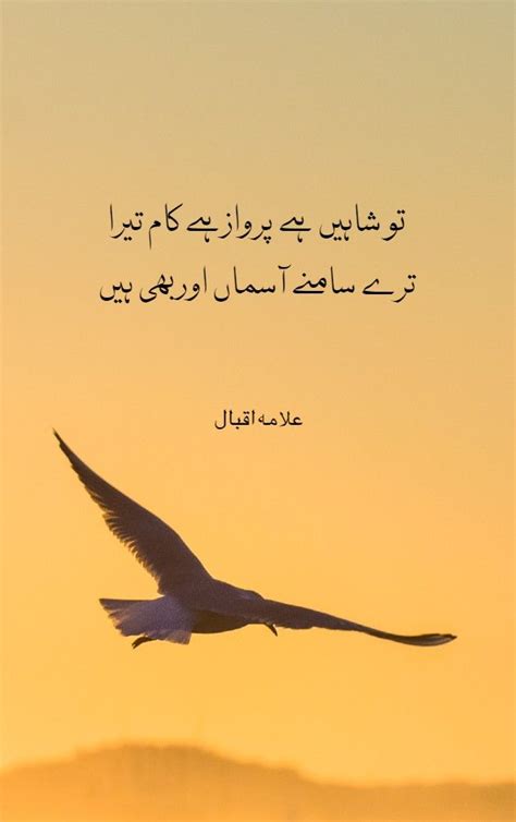 Shaheen Falcon Kalam E Iqbal Bal E Jibril Urdu Nama Iqbal