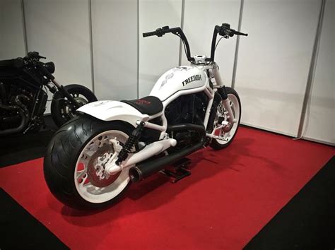 Custom V Rod Night Rod Harley Davidson Bobber Pinstriping