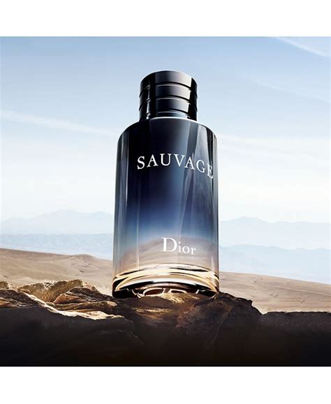 Probably most well known for the advertising campaign featuring johnny depp, dior sauvage was released in 2015. Dior Men's Sauvage Eau de Toilette Spray, 3.4 oz ...