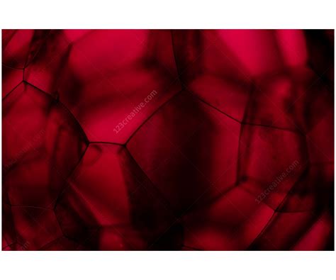 Christmas tree with defocused lights. High res graphic design textures, light backgrounds, dark ...