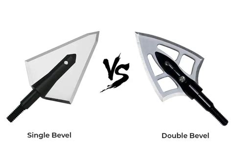Single Bevel Vs Double Bevel Broadheads Which Is Best For You