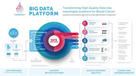 How Big Data Accelerate Research On Blood Cancers Ictandhealth
