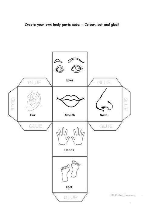 Body part actions worksheet author: Pin on Body parts