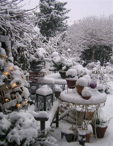 72 Best Images About Garden Winter Wonderland On Pinterest Gardens