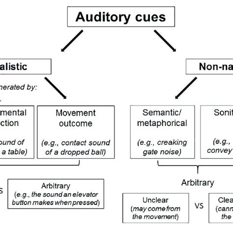 Pdf The Influence Of Auditory Cues On Bodily And Movement Perception