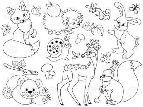 Forest Animals Coloring Pages