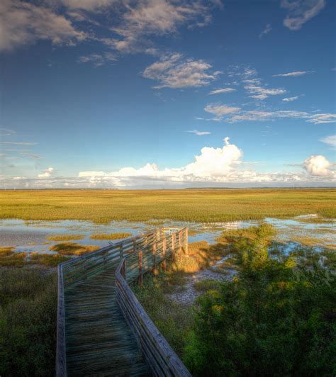 Marshes Of Glynn 2 Photograph By Jennifer Shockley Pixels
