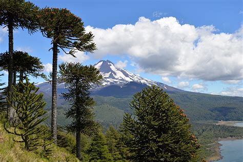 Fondos De Pantalla Chile Montañas Parque Fotografía De Paisaje árboles