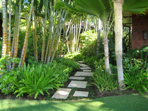 Tropical Landscape Design Landscaping