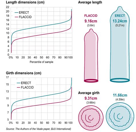 What S The Average Penis Size New Study Shows A Clear Trend