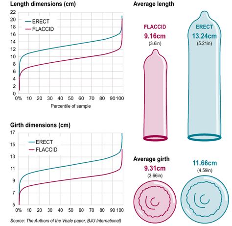 Penis Size Chart By Age