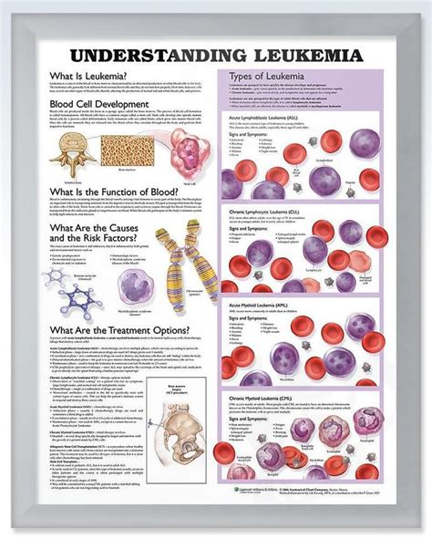 Understanding Leukemia Chart 20x26 Leukemia Quotes Leukemia