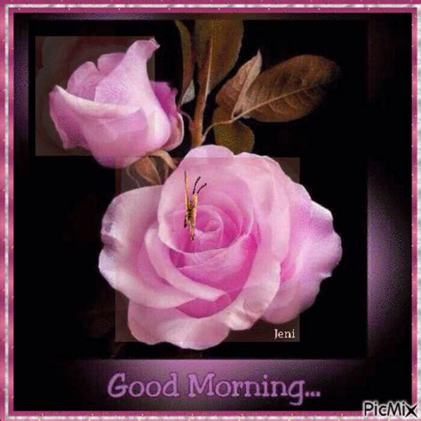 Animated Light Pink Roses Animations Roses Morning S Good Morning