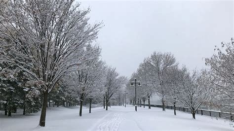 Gallery First Snow Storm Of 2019 Hits Upstate New York