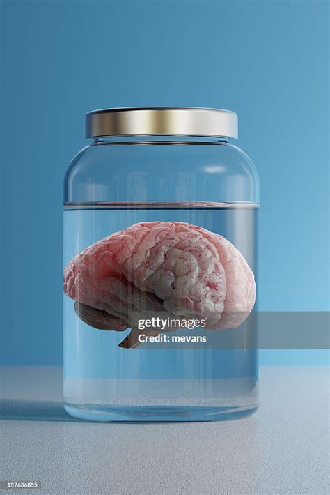 Brain In A Jar High Res Stock Photo Getty Images