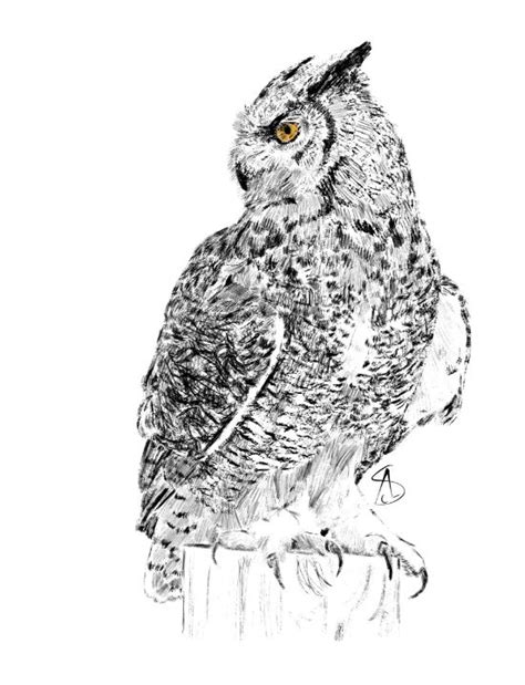 Details 63 Great Horned Owl Sketch Latest Vn