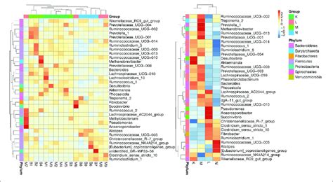 A Heatmap Of Species Abundance Clustering The Heatmap Shows The Download Scientific Diagram