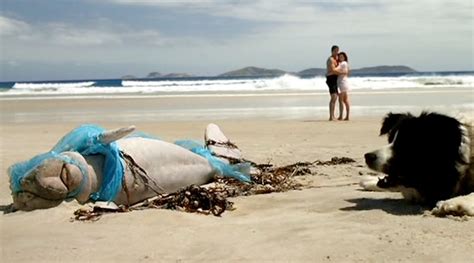 The story concerns a couple in a. Underrated Horror Film Review: Long Weekend (1978) - Casey ...
