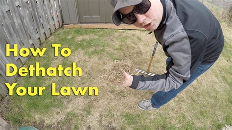 Thatch is an organic layer of debris usually made of dead and alive plant material. How To DETHATCH YOUR LAWN With A THATCHING RAKE - Spring ...