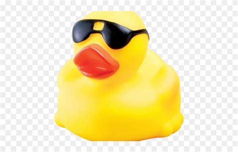 Duck With Sunglasses Clipart 10 Free Cliparts Download Images On