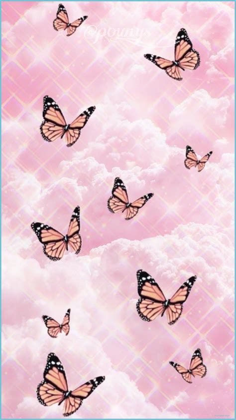 Rainbow Butterfly Wallpaper Aesthetic Carrotapp
