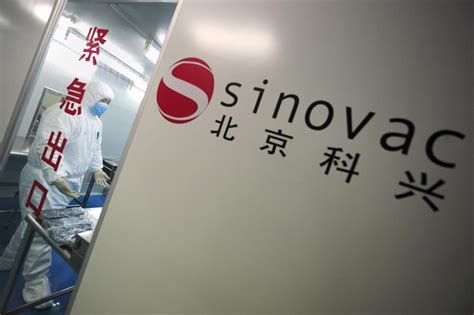 Helen yang from the company says the clinical trial will be. Sinovac : Inside the China Biotech Firm Racing for a COVID ...
