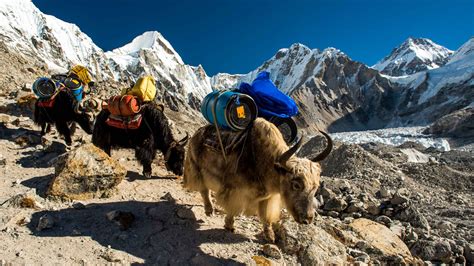 Khumbu Adventure Tours Journeys International