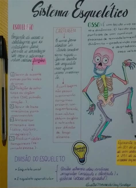 Mapa Mental Sistema Esqueletico Anatomia I Porn Sex Picture