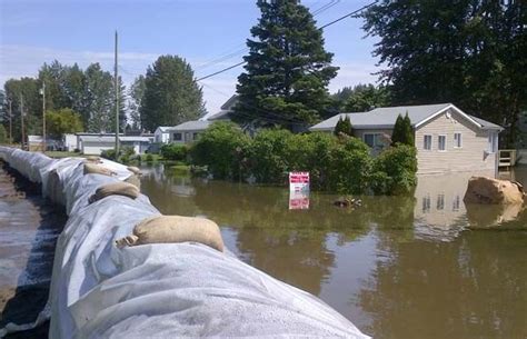 Coming Rains Could Add To Fraser River Flood Threat Fraser River Prince George Bc British