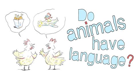 Do Animals Have Language Kidpid