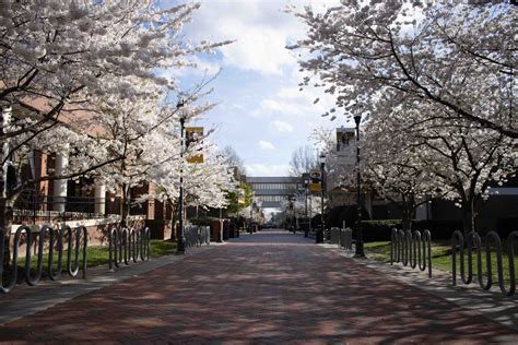 VCU students contemplate August return to campus
