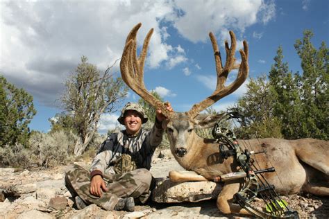 Giant Mule Deer Buck Tagged In Arizona Is Pending Typical World Record