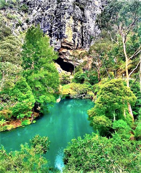 Jenolan Caves Blue Mountains Day Adventure River Cruise Wildscape