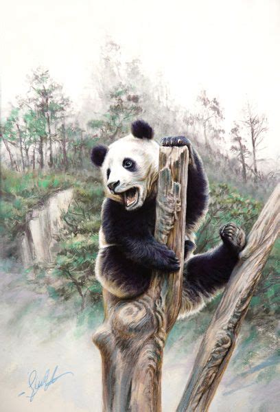 Steve Morvell Wildlife Artist Giant Panda Pastel Wildlife Artwork