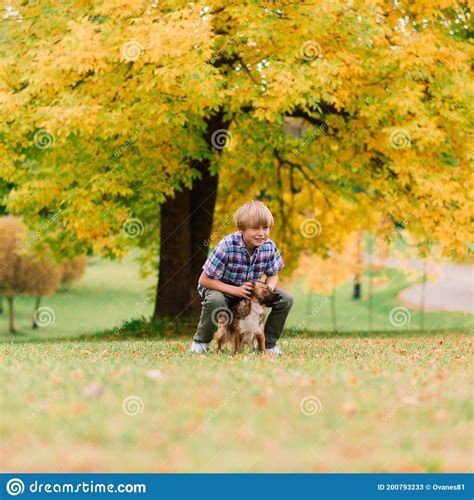 Cute Boy Playing And Walking With His Dog In A Meadow Stock Image