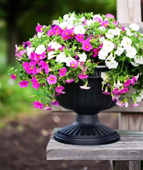 Create a unique focal point in your yard with one of our gazing balls and stands or even a pond.add a touch of color to your lawn or garden with our lawn statues and outdoor wall décor.enjoy the outdoors well into the evening with the beautiful glow. Elevate your greenery to new heights with this 12" Grecian Urn Planter. A perfect transition ...