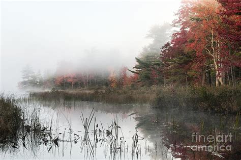 Misty Morning Photograph By John Greim Fine Art America
