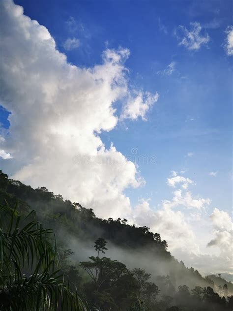 Blue Sky With Clouds Form Tropical Rainforest Stock Image Image Of