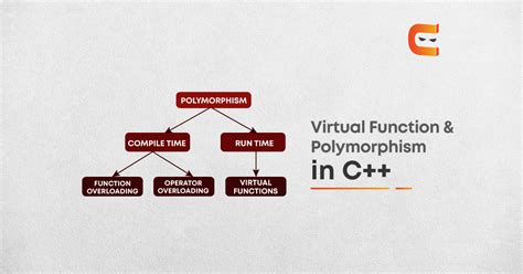 Virtual Functions And Runtime Polymorphism In C Coding Ninjas Blog