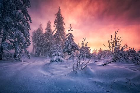 Winter Sunset Hd Wallpaper Background Image 2000x1333 Id701746