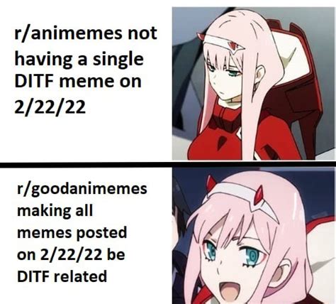 Not Having A Single Ditf Meme On Making All Memes Posted On Be Ditf Related Ifunny