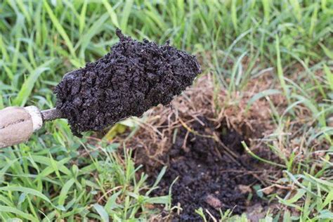 How To Fill Holes In The Lawn With Soil Hunker Lawn Repair Lawn Soil